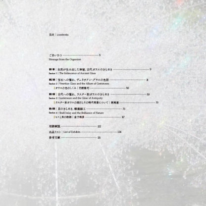 図録／軌跡のきらめき