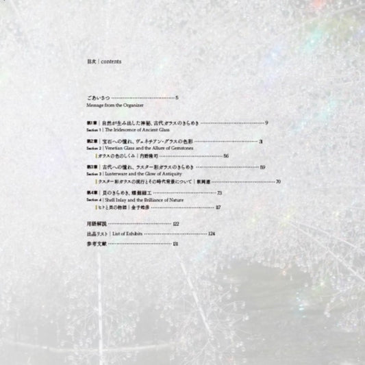 図録／軌跡のきらめき